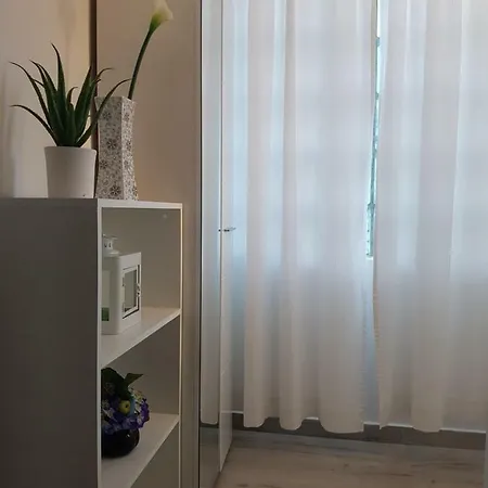 Ana Juricev 沃迪切