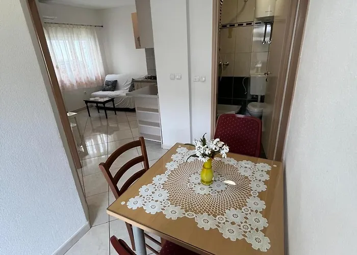 Ana Juricev ヴォディツェ