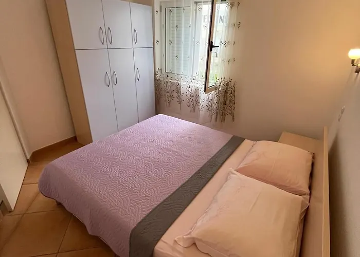 Ana Juricev ヴォディツェ