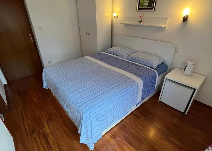 Ana Juricev * ヴォディツェ